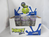 Juicy Large Clear Glass Jars w/ Stickers 6ct Display - elevapers